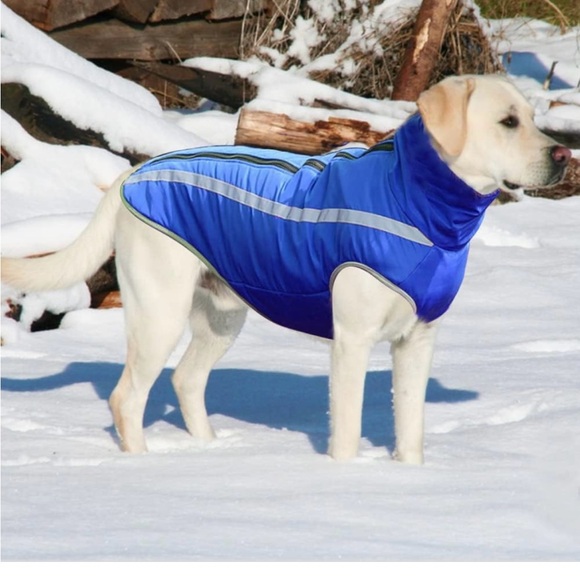 🌟NWOT! FEimax Blue Dog Coat! - Picture 1 of 11